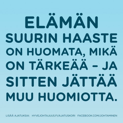 Elämän suurin haaste on huomata, mikä on tärkeää – ja sitten jättää muu huomiotta.
