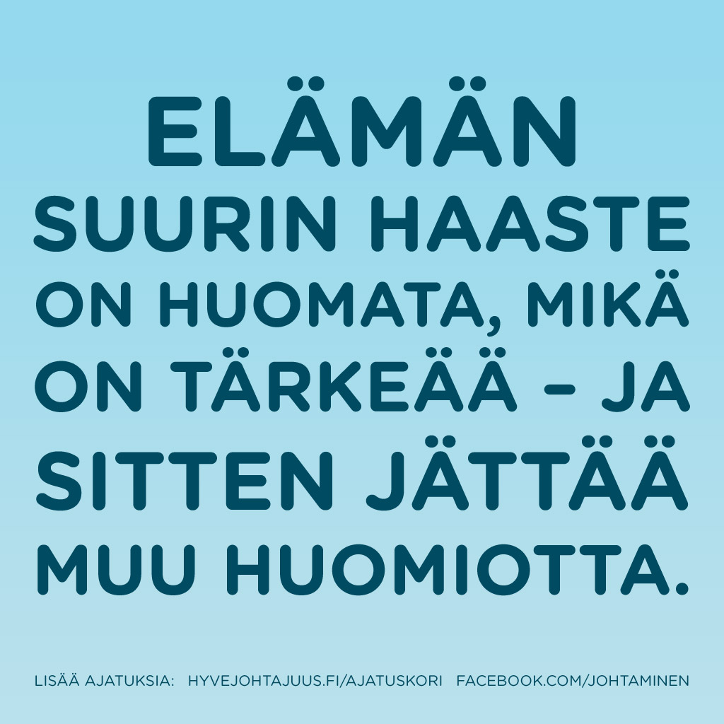 Elämän suurin haaste on huomata, mikä on tärkeää – ja sitten jättää muu huomiotta.