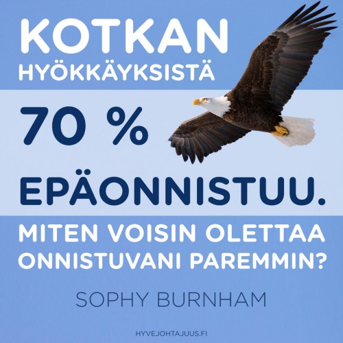 Kotkan hyökkäyksistä 70 % epäonnistuu. Miten voisin olettaa onnistuvani paremmin? — Sophy Burnham