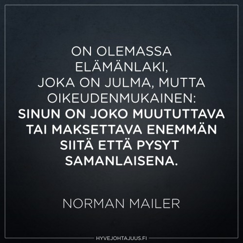 On olemassa elämänlaki, joka on julma, mutta oikeudenmukainen: sinun on joko muututtava tai maksettava enemmän siitä että pysyt samanlaisena. — Norman Mailer