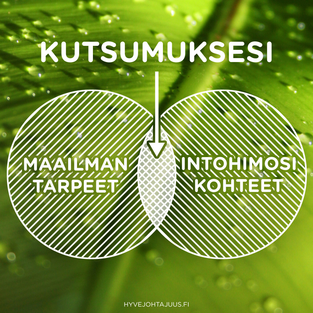 Kutsumuksesi on intohimosi kohteiden ja maailman tarpeiden yhtymäkohdassa.