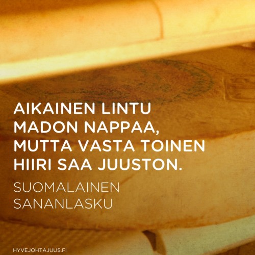Aikainen lintu madon nappaa, mutta vasta toinen hiiri saa juuston. — Suomalainen sananlasku