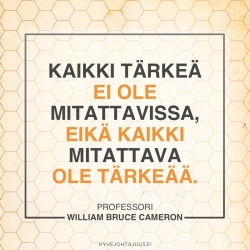 Kaikki tärkeä ei ole mitattavissa, eikä kaikki mitattava ole tärkeää. — Professori William Bruce Cameron